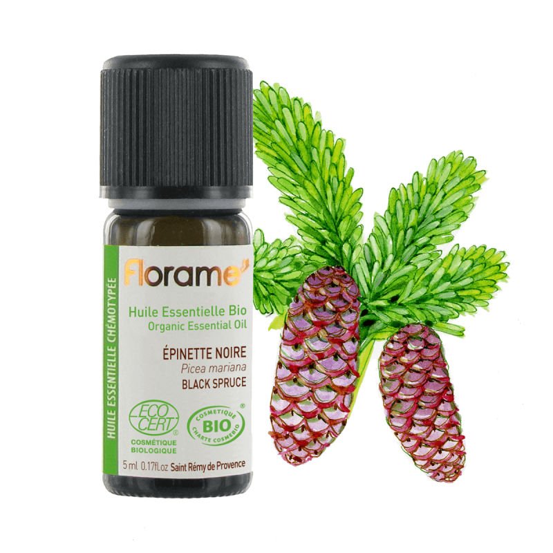 Organic Black Spruce Essential Oil
