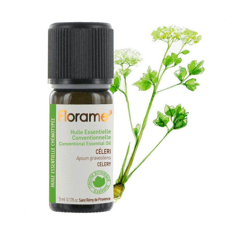 Conventionnal Celery Essential Oil