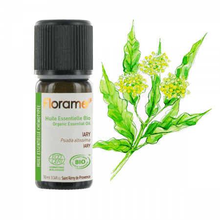 Organic Iary Essential Oil