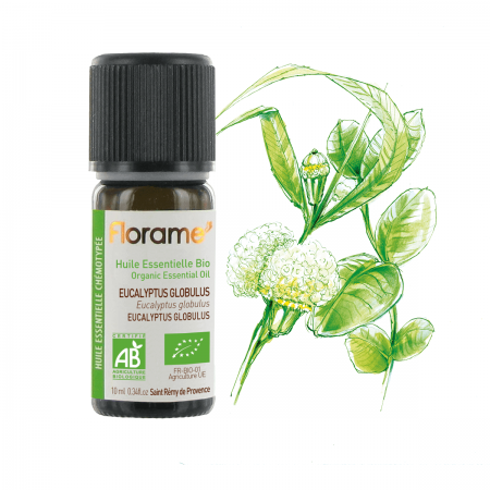 Organic globulus Eucalyptus...