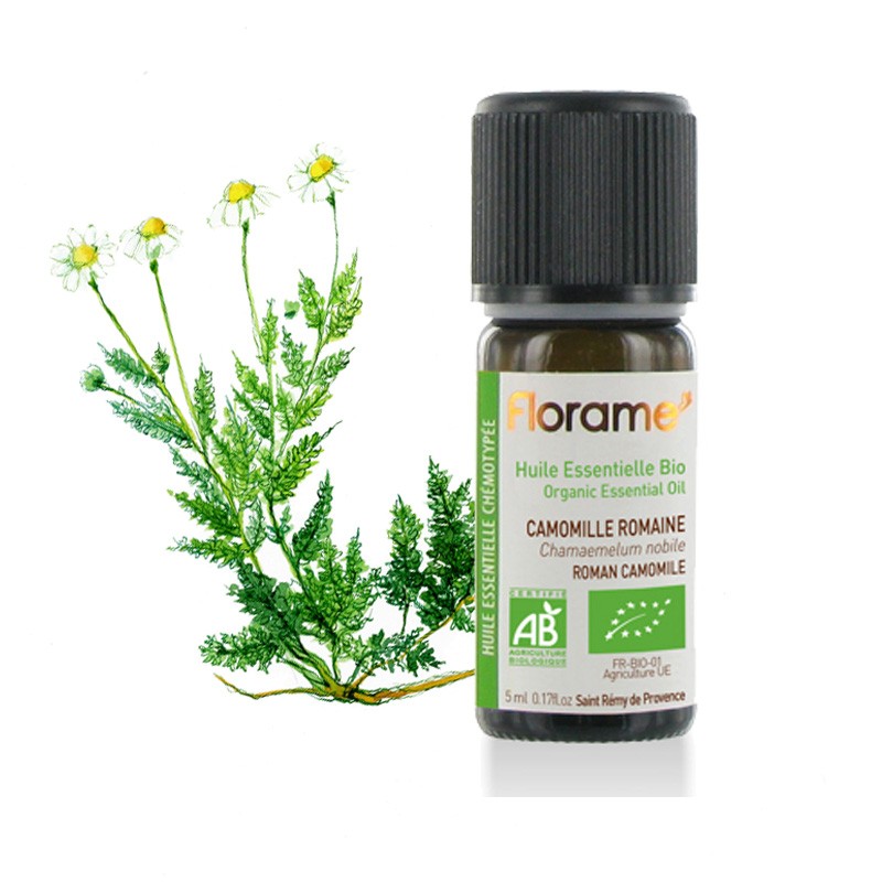 Organic Roman Chamomile Essential Oil