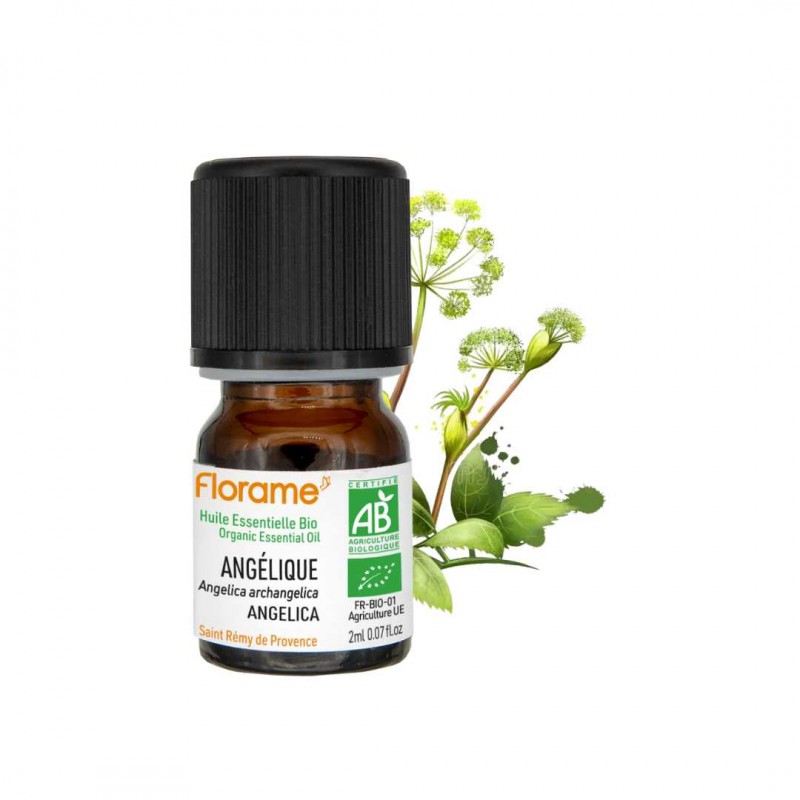 Organic Angelica Essential Oil